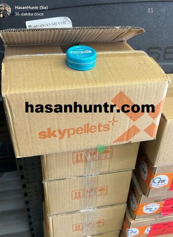 5,5 Dome 125 adet skypellets