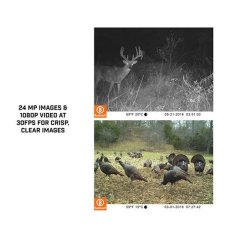 BUSHNELL SINGLE CORE KAHVE FOTOKAPAN KAMERA 24MP